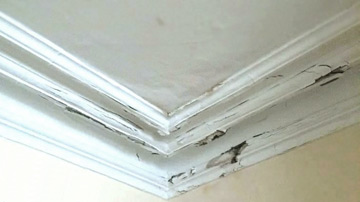 repair plaster cornice near me