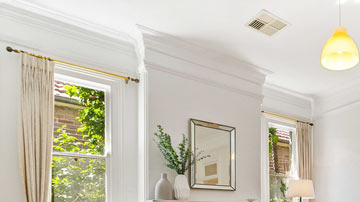 plaster cornice repair near me