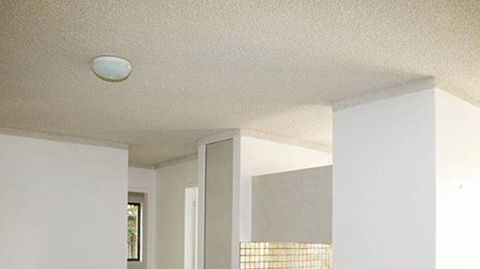 vermiculite ceiling plasterer north sydney