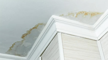 ceiling plaster repair water damage Sydney